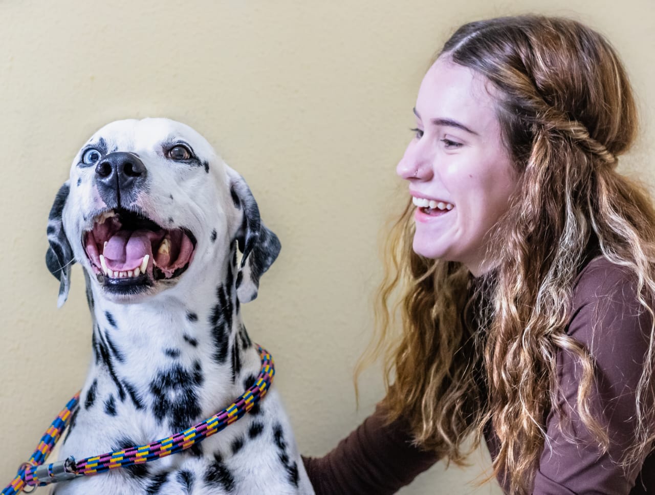 Veterinário acolhedor examinando um cãozinho com carinho