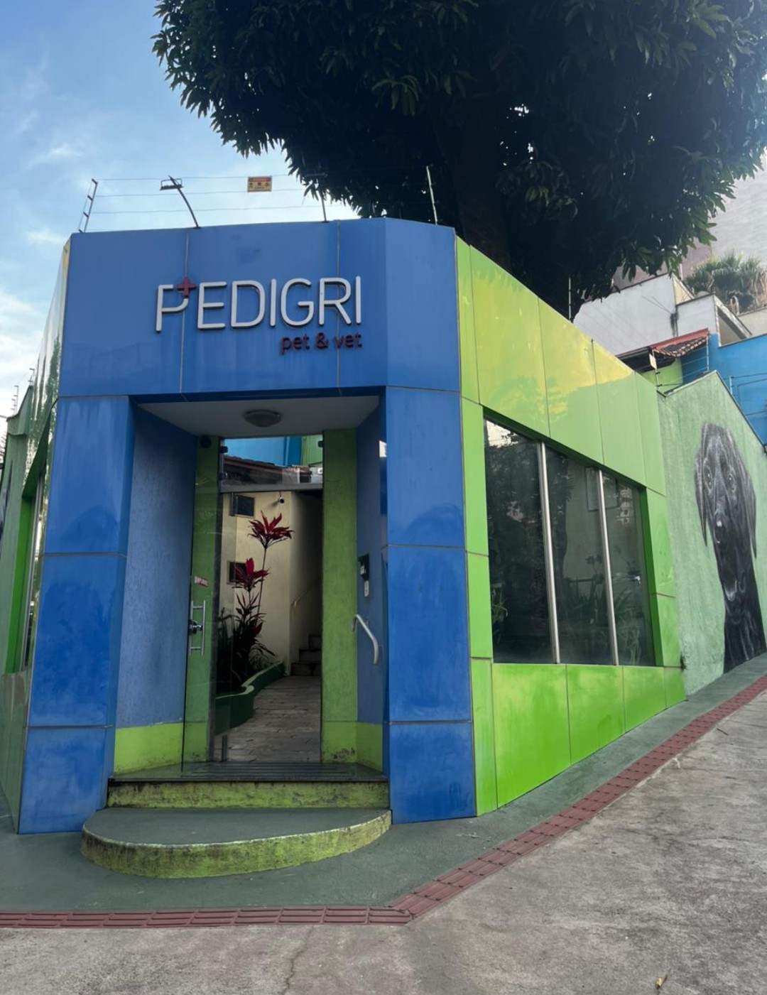 Fachada moderna da Clínica Veterinária Pedigri 24h